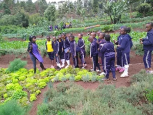Stichting Mlango Farm - Kenia